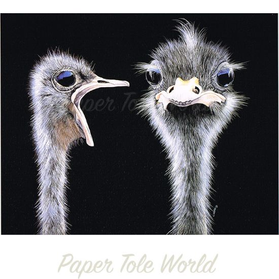 Picture of Ostrich Heads - 8" x 10"