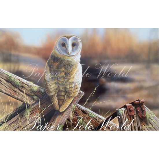 Picture of Owl on Fence - 11" x 14"