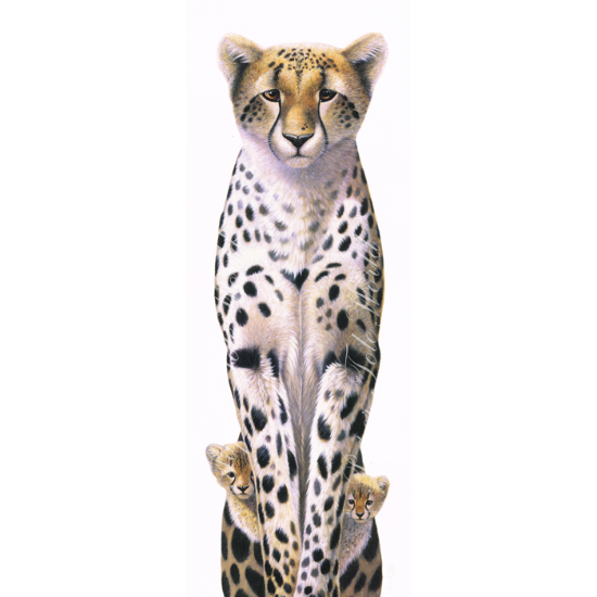 Picture of Peek-a-Boo - 6" x 15"