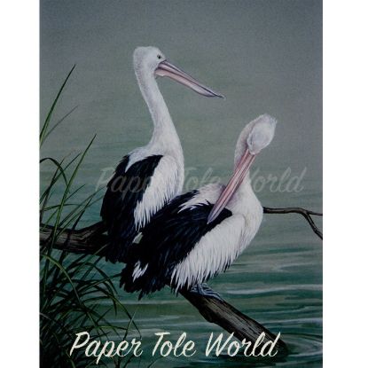 Picture of Pelicans - 8" x 10"