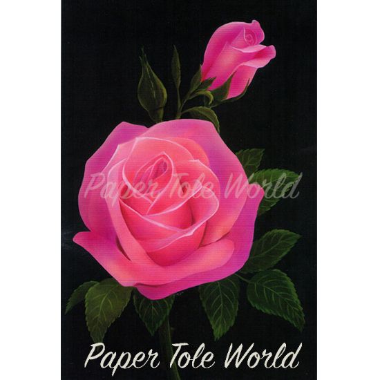 Picture of Pink Rose II - 7.5" x 10.5"