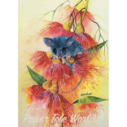 Picture of Pygmy Possum - 11.5" x 8.5"