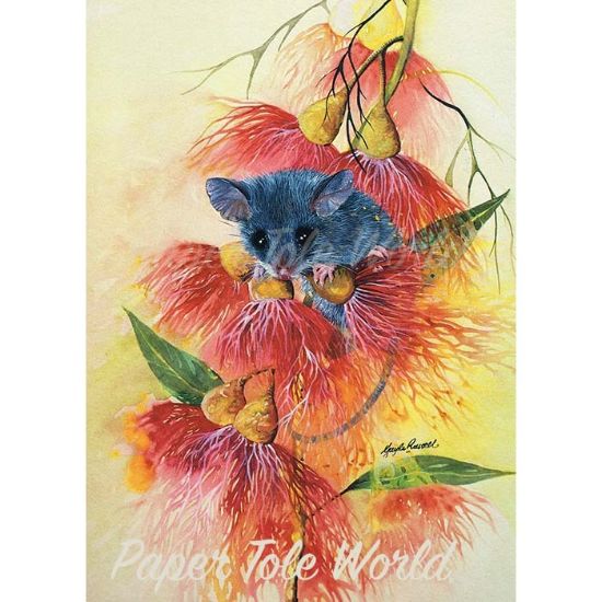 Picture of Pygmy Possum - 11.5" x 8.5"