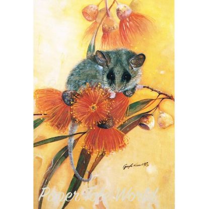 Picture of Pygmy Possum & Gumnuts - 5" x 7"