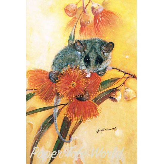 Picture of Pygmy Possum & Gumnuts - 5" x 7"
