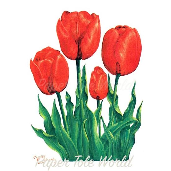 Picture of Red Tulips - 4" x 5"