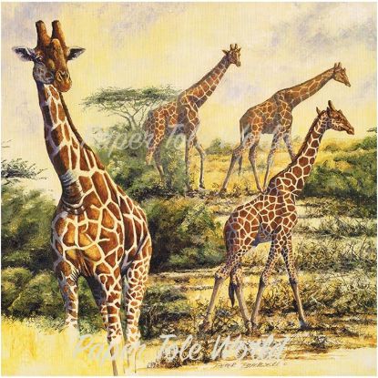 Picture of Safari III - 12" x 12"