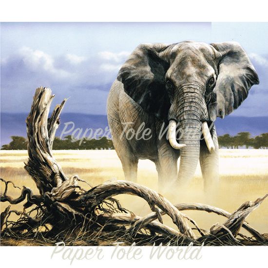 Picture of The Sentinel - 8" x 12"