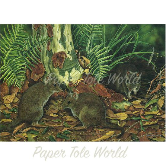 Picture of Unwelcome Visitor - 7" x 9.5"