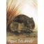 Picture of Wombats - 11.5" x 8.5"