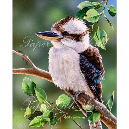 Picture of Out on a Limb - 13.5" x 10.5"