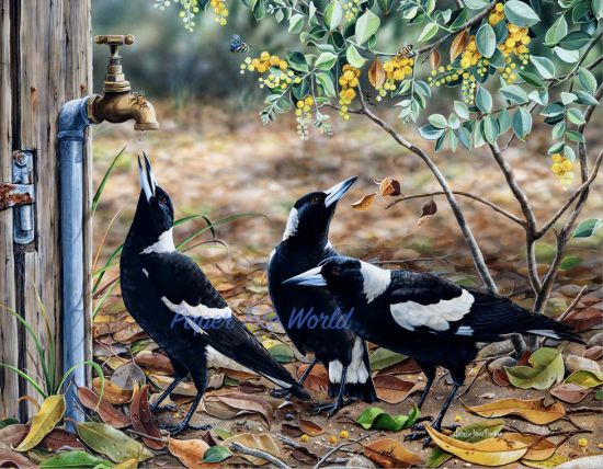 Picture of Waiting for my Turn - 13.5" x 10.5"