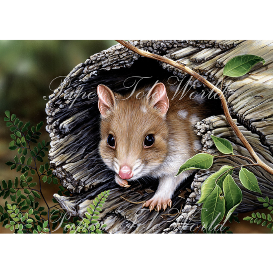 Picture of One Quiet Night - 13.5" x 10.5"