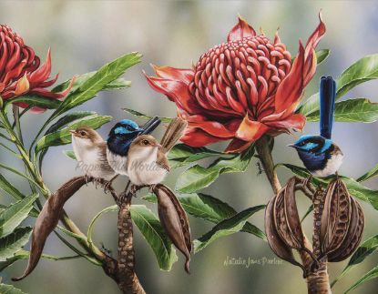 Picture of Waratah Picnic - 13.5" x 10.5"