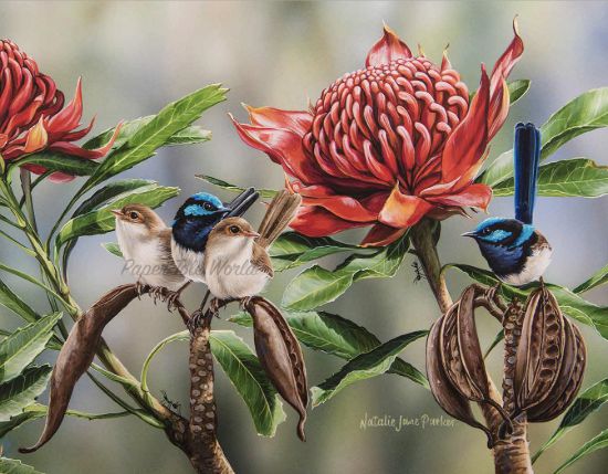 Picture of Waratah Picnic - 13.5" x 10.5"