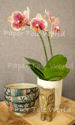 Picture of Still Life With Bowls, 6" x 10"