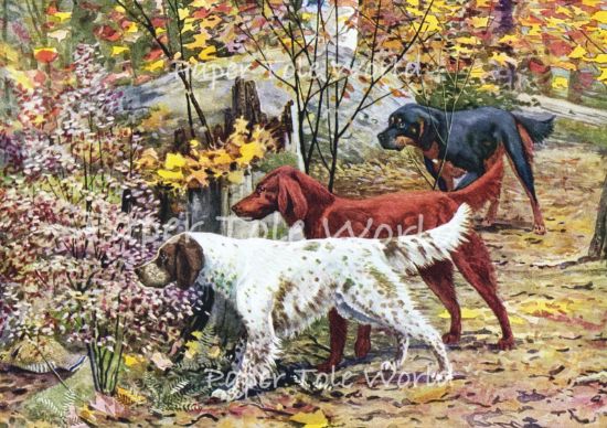 Picture of Three Hounds - 7" x 11"