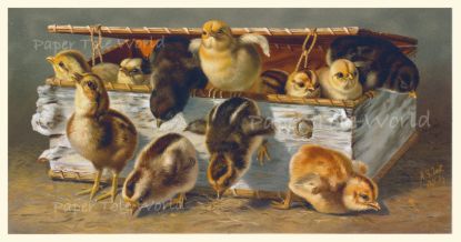 Picture of Vintage Chicks - 5" x 9.5"