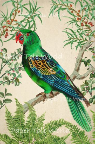 Picture of Vintage Green Parrot - 6" x 9"