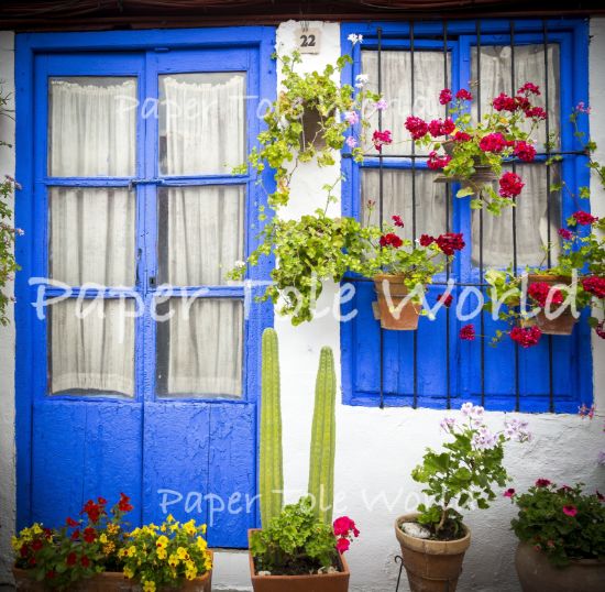 Picture of Blue Door - 10.8" x 10.6"