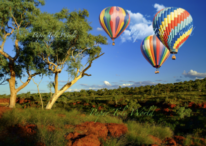 Picture of Hot Air Balloons 10" x 14"