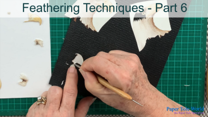 Picture of Feathering - Part 6