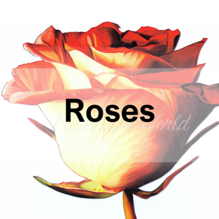 Picture for category Roses