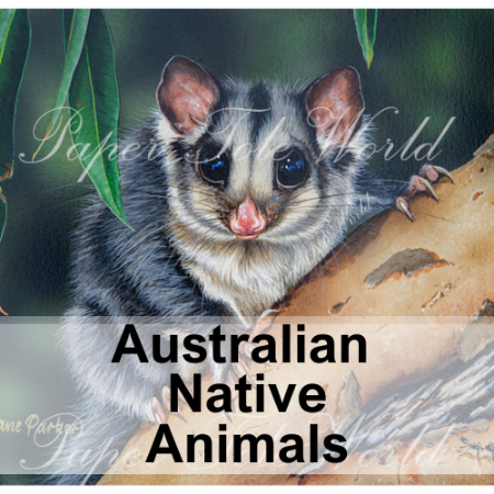 Picture for category Australian Native Animals